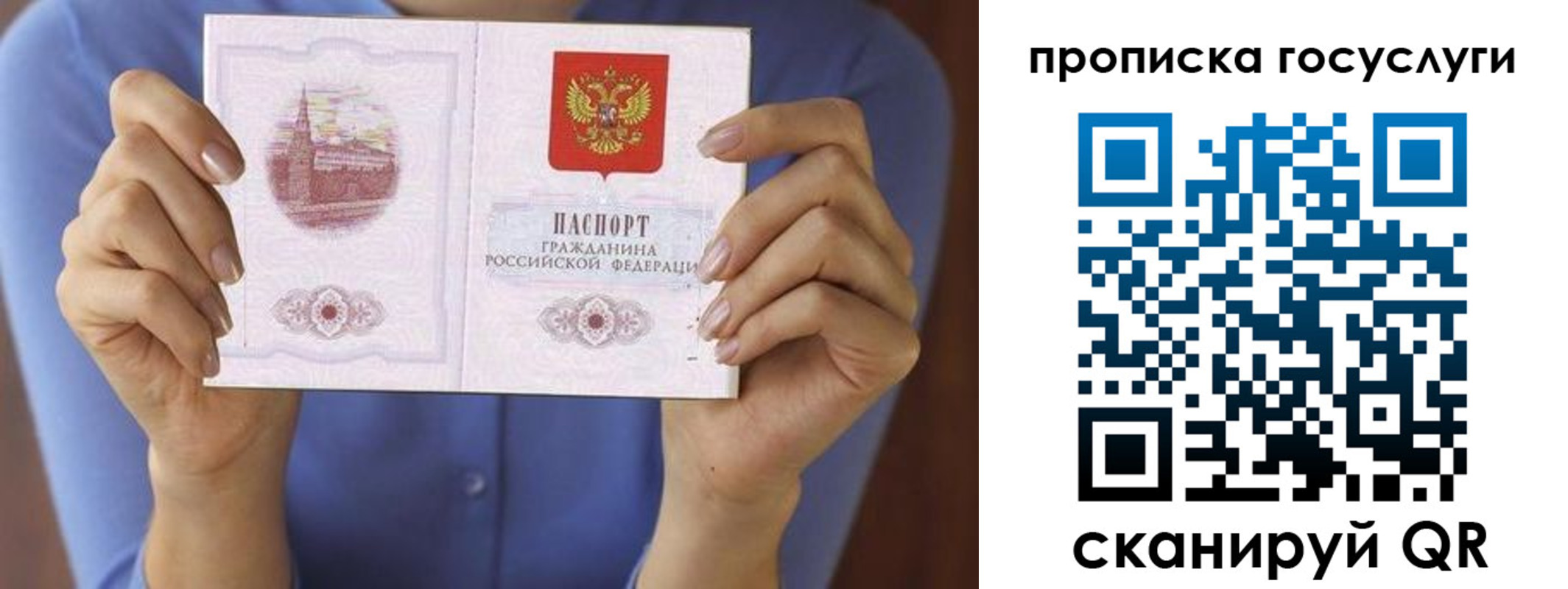 миграционный учет в Александровске